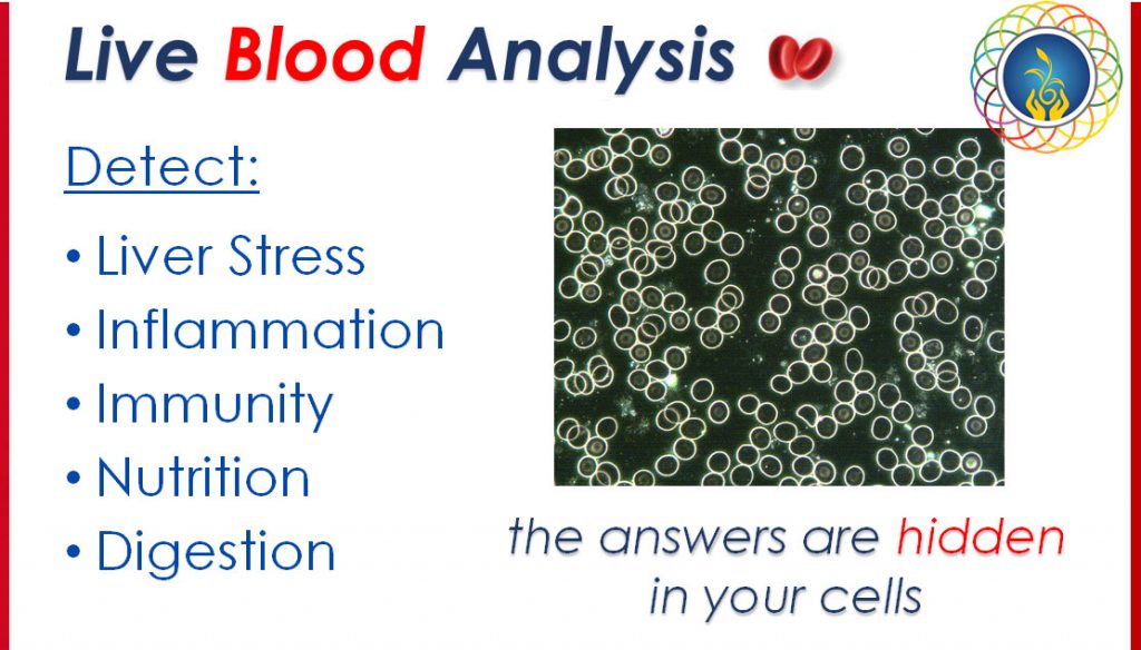 Live-Blood-analysis